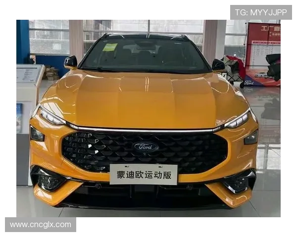 18岁闯社会的农村老板 提蒙迪欧豪华运动版